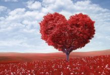 Il marketing a San Valentino – la festa degli innamorati marketing a san valentino