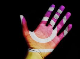 Instagram e creatività: come il social sta evolvendo per sostenere i creator barra di ricerca instagram
