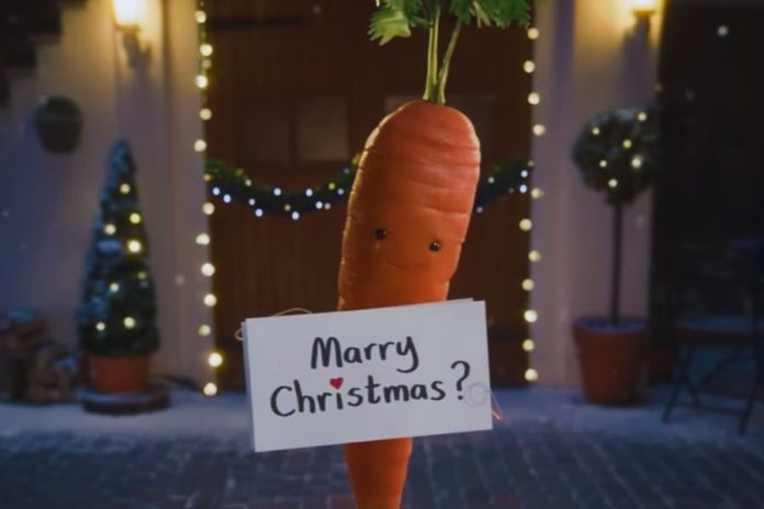 kevin the carrot
