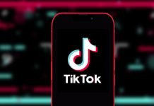 Quanto guadagnano i tiktoker più famosi oscar tiktok